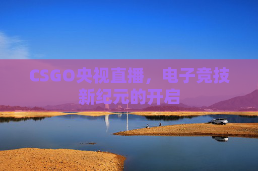 CSGO央视直播，电子竞技新纪元的开启