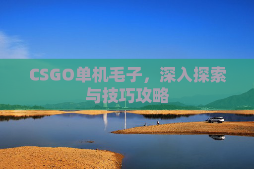 CSGO单机毛子，深入探索与技巧攻略