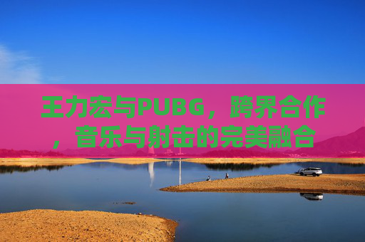 王力宏与PUBG，跨界合作，音乐与射击的完美融合