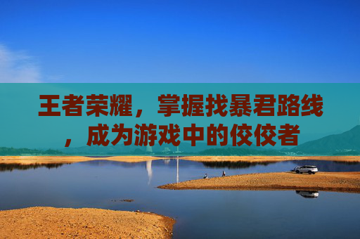 王者荣耀，掌握找暴君路线，成为游戏中的佼佼者