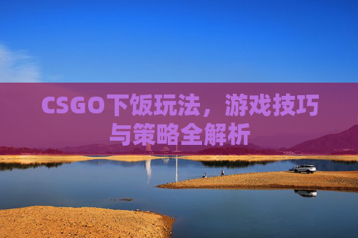 CSGO下饭玩法，游戏技巧与策略全解析
