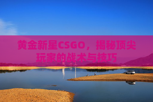 黄金新星CSGO，揭秘顶尖玩家的战术与技巧