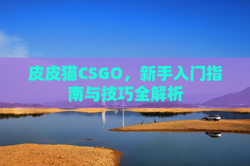 皮皮猫CSGO，新手入门指南与技巧全解析