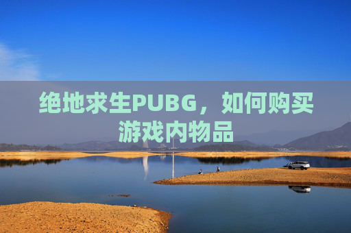 绝地求生PUBG，如何购买游戏内物品
