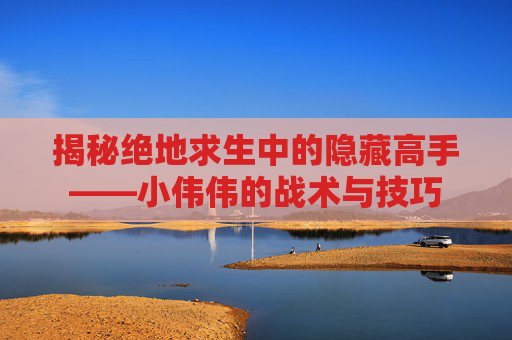 揭秘绝地求生中的隐藏高手——小伟伟的战术与技巧
