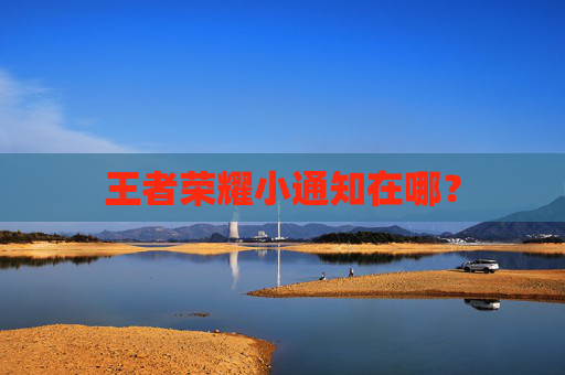 王者荣耀小通知在哪？