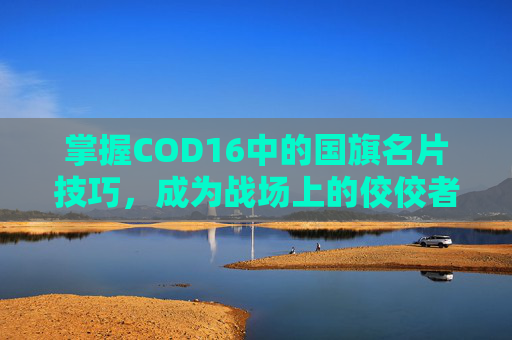 掌握COD16中的国旗名片技巧，成为战场上的佼佼者！