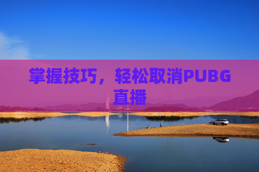 掌握技巧，轻松取消PUBG直播