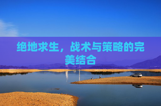 绝地求生，战术与策略的完美结合