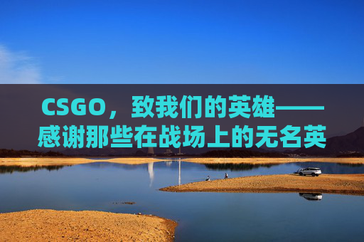 CSGO，致我们的英雄——感谢那些在战场上的无名英雄