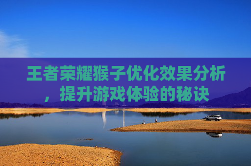 王者荣耀猴子优化效果分析，提升游戏体验的秘诀