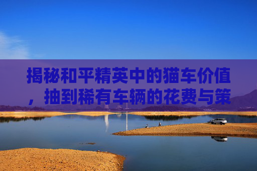 揭秘和平精英中的猫车价值，抽到稀有车辆的花费与策略