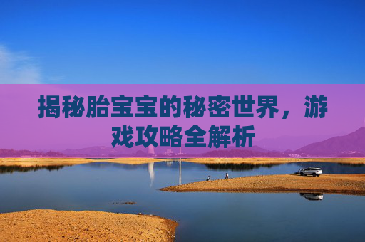 揭秘胎宝宝的秘密世界，游戏攻略全解析