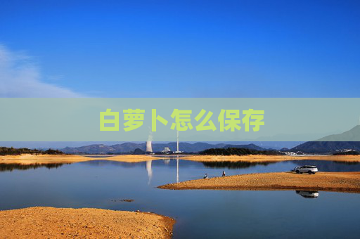 白萝卜怎么保存