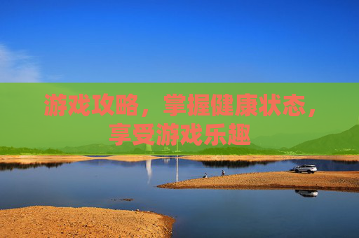 游戏攻略，掌握健康状态，享受游戏乐趣