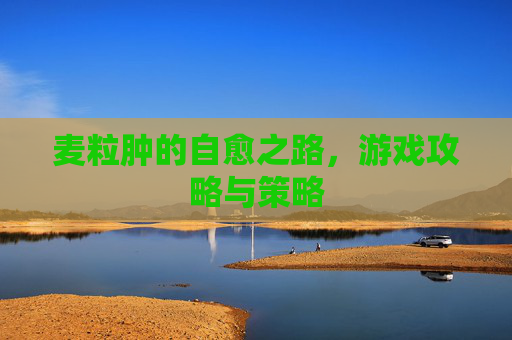 麦粒肿的自愈之路，游戏攻略与策略