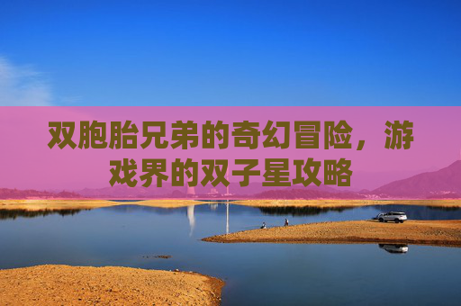 双胞胎兄弟的奇幻冒险，游戏界的双子星攻略