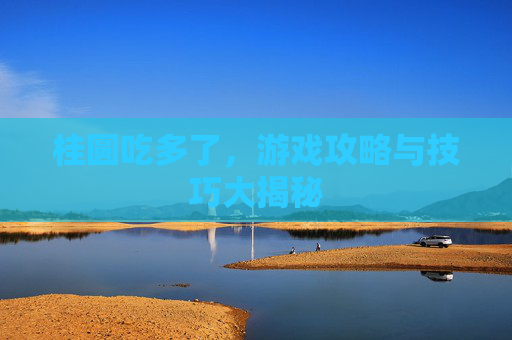 桂圆吃多了，游戏攻略与技巧大揭秘