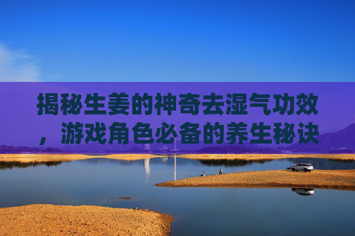 揭秘生姜的神奇去湿气功效，游戏角色必备的养生秘诀