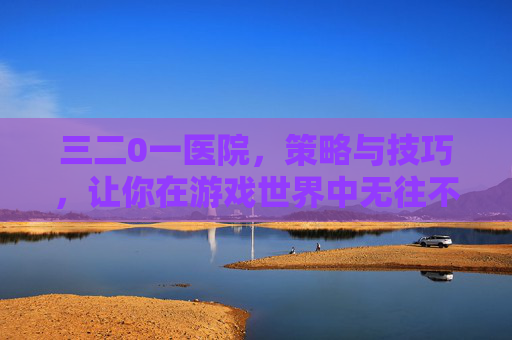三二0一医院，策略与技巧，让你在游戏世界中无往不胜！
