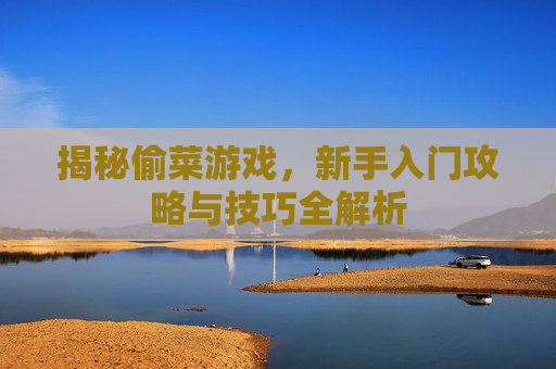 揭秘偷菜游戏，新手入门攻略与技巧全解析