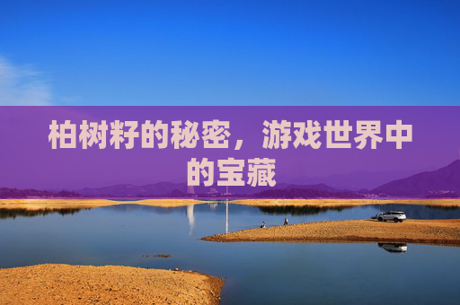 柏树籽的秘密，游戏世界中的宝藏