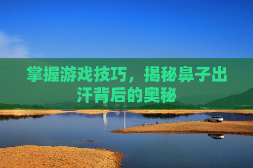 掌握游戏技巧，揭秘鼻子出汗背后的奥秘