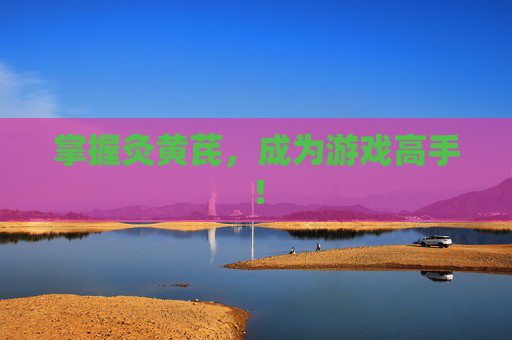 掌握灸黄芪，成为游戏高手！