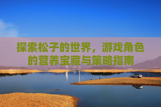 探索松子的世界，游戏角色的营养宝藏与策略指南