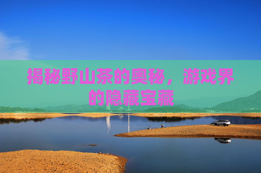 揭秘野山茶的奥秘，游戏界的隐藏宝藏