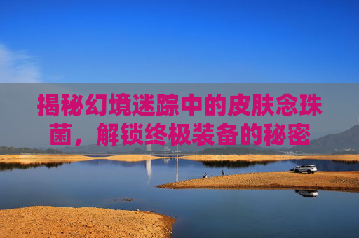 揭秘幻境迷踪中的皮肤念珠菌，解锁终极装备的秘密