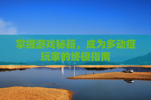 掌握游戏秘籍，成为多动症玩家的终极指南