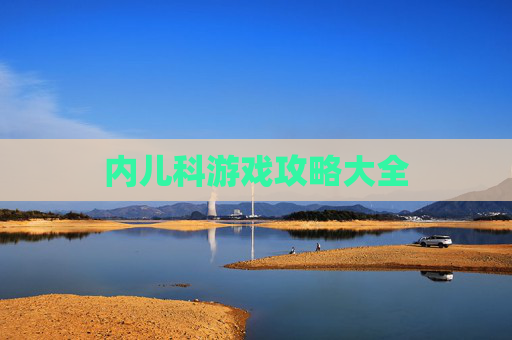 内儿科游戏攻略大全