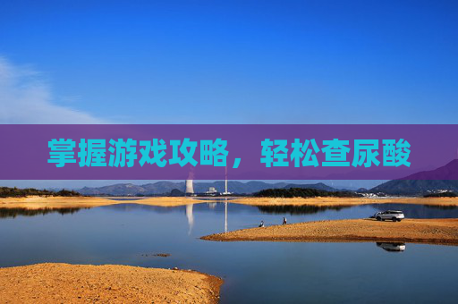掌握游戏攻略，轻松查尿酸
