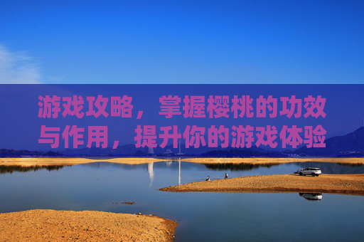 游戏攻略，掌握樱桃的功效与作用，提升你的游戏体验！
