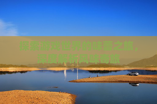 探索游戏世界的味蕾之旅，深度解析风味奇旅
