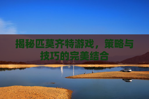揭秘匹莫齐特游戏，策略与技巧的完美结合