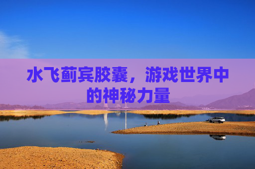 水飞蓟宾胶囊，游戏世界中的神秘力量