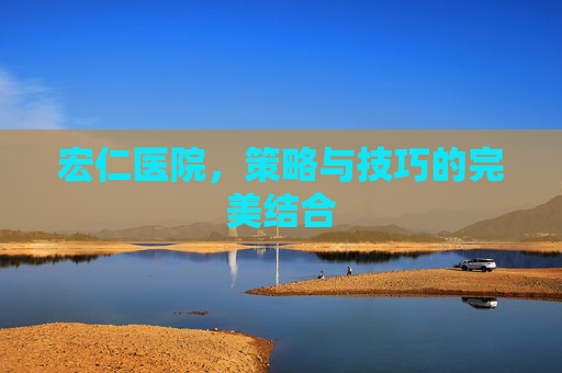宏仁医院，策略与技巧的完美结合