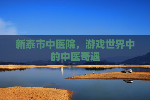 新泰市中医院，游戏世界中的中医奇遇