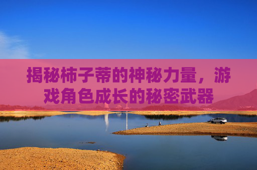 揭秘柿子蒂的神秘力量，游戏角色成长的秘密武器