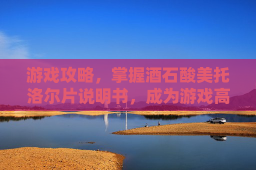 游戏攻略，掌握酒石酸美托洛尔片说明书，成为游戏高手