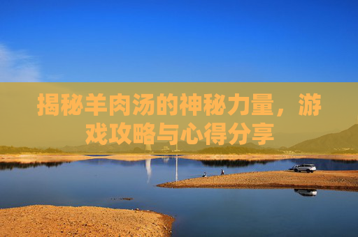 揭秘羊肉汤的神秘力量，游戏攻略与心得分享