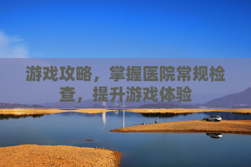 游戏攻略，掌握医院常规检查，提升游戏体验