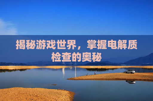揭秘游戏世界，掌握电解质检查的奥秘