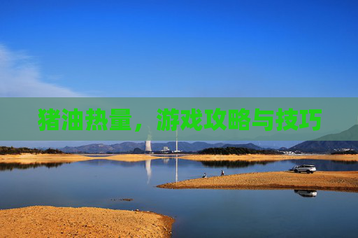 猪油热量，游戏攻略与技巧