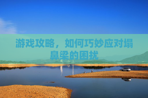 游戏攻略，如何巧妙应对塌鼻梁的困扰