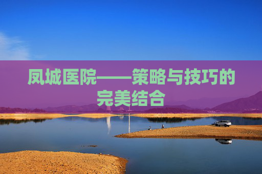 凤城医院——策略与技巧的完美结合