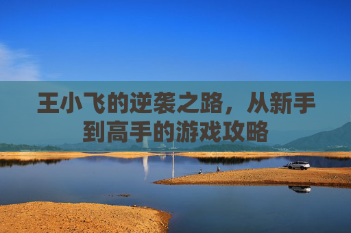 王小飞的逆袭之路，从新手到高手的游戏攻略