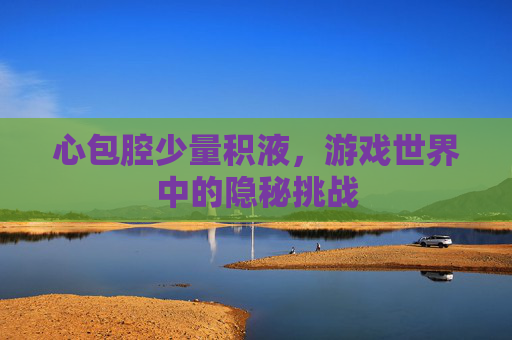 心包腔少量积液，游戏世界中的隐秘挑战